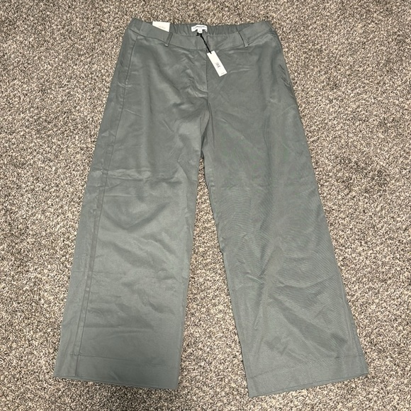 NWT! Banana Republic Gray Succulent 
The Everyday Wide Leg Pant - Size Large - Picture 6 of 8